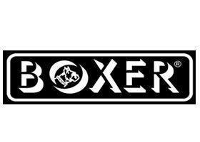 Boxer Palermo